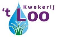kwekerij-loo-koningrust-advies
