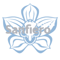 sanfiero-orchids